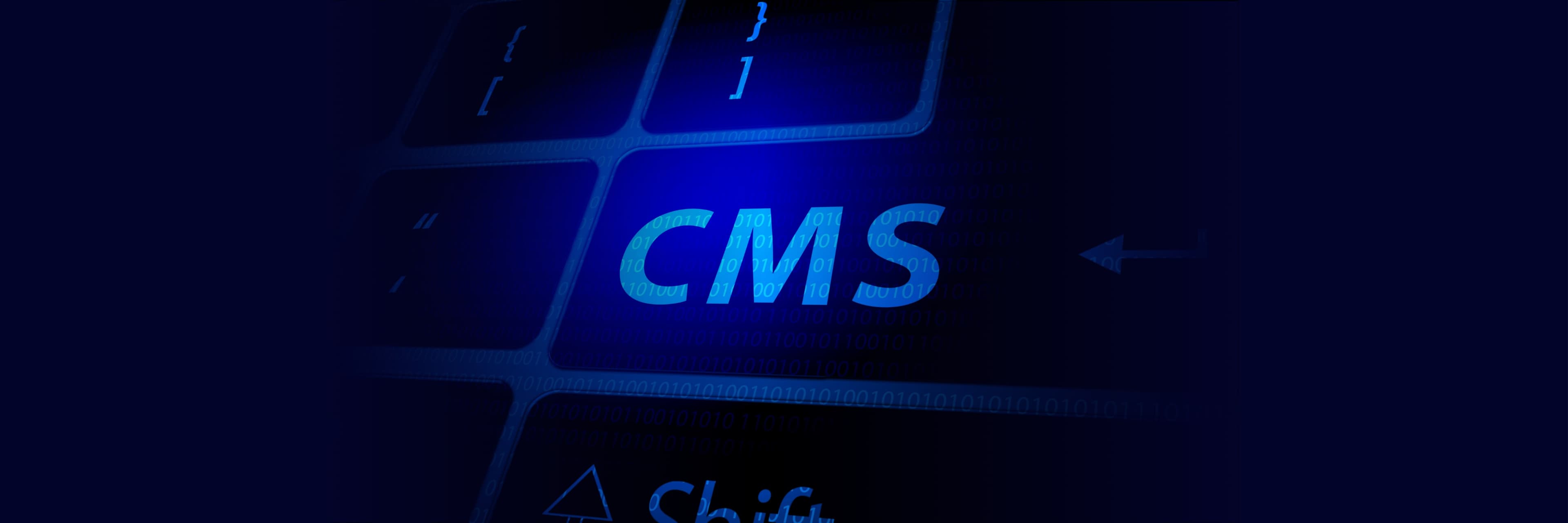 Headless CMS & Content Ops