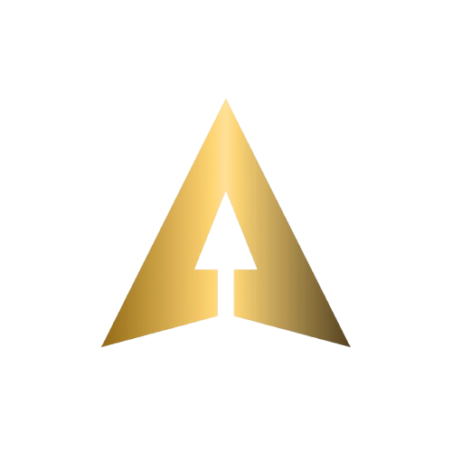 altiorainfotech.com